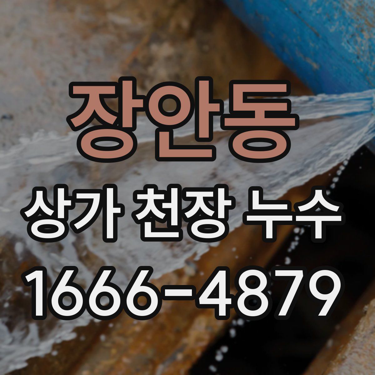 장안동 상가 천장 누수