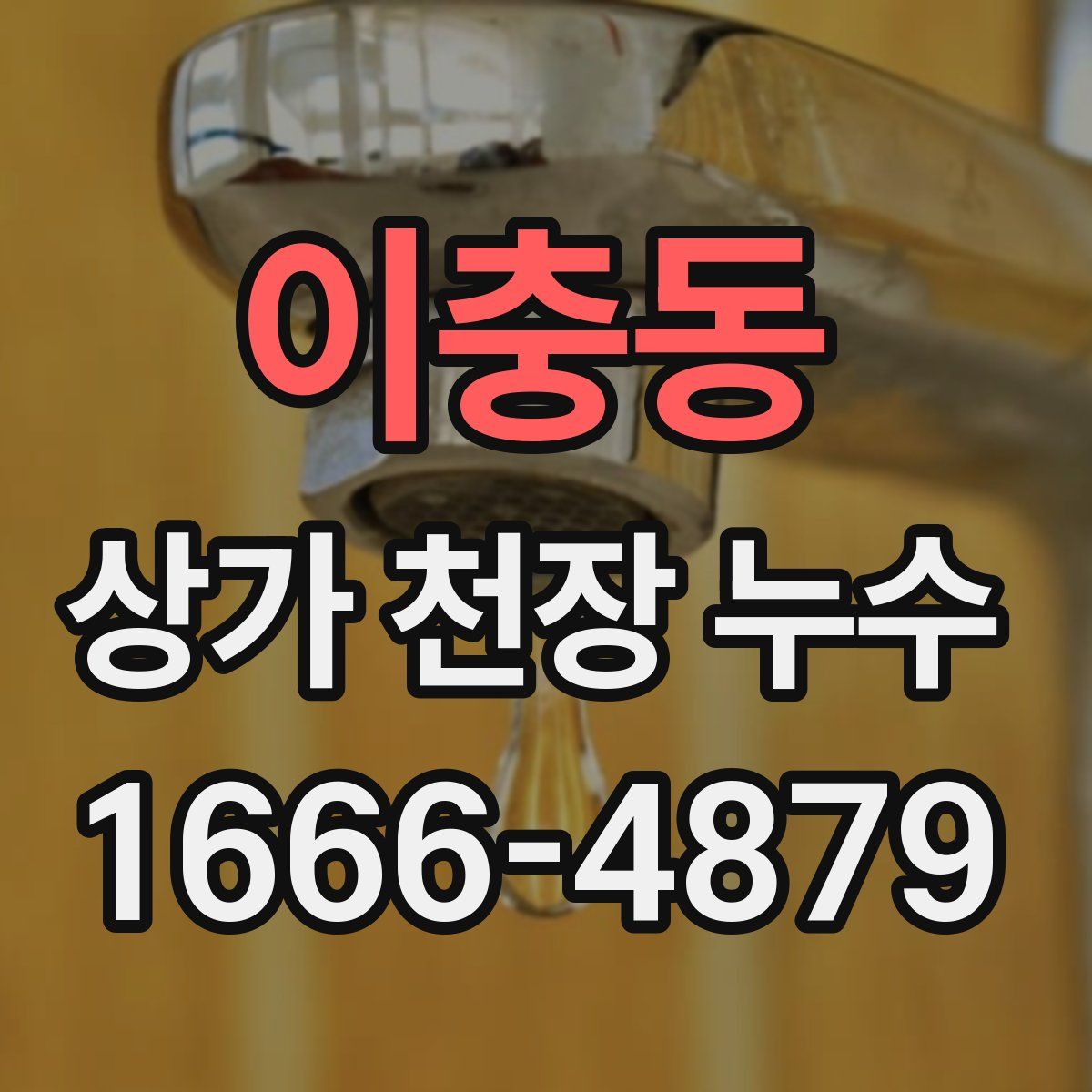 이충동 상가 천장 누수
