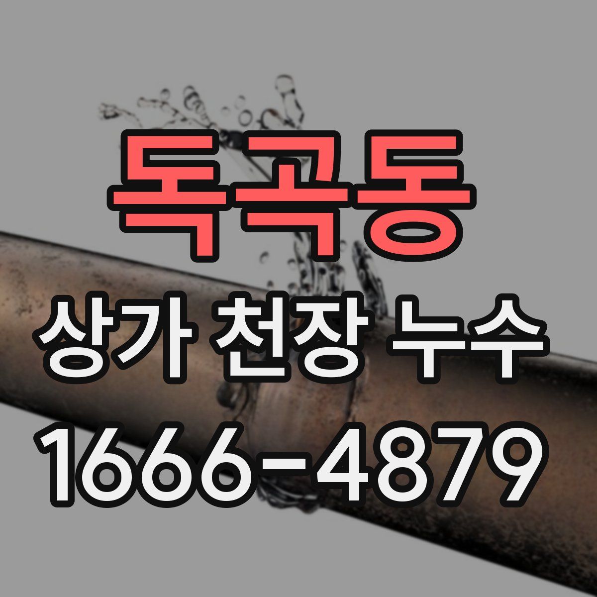 독곡동 상가 천장 누수