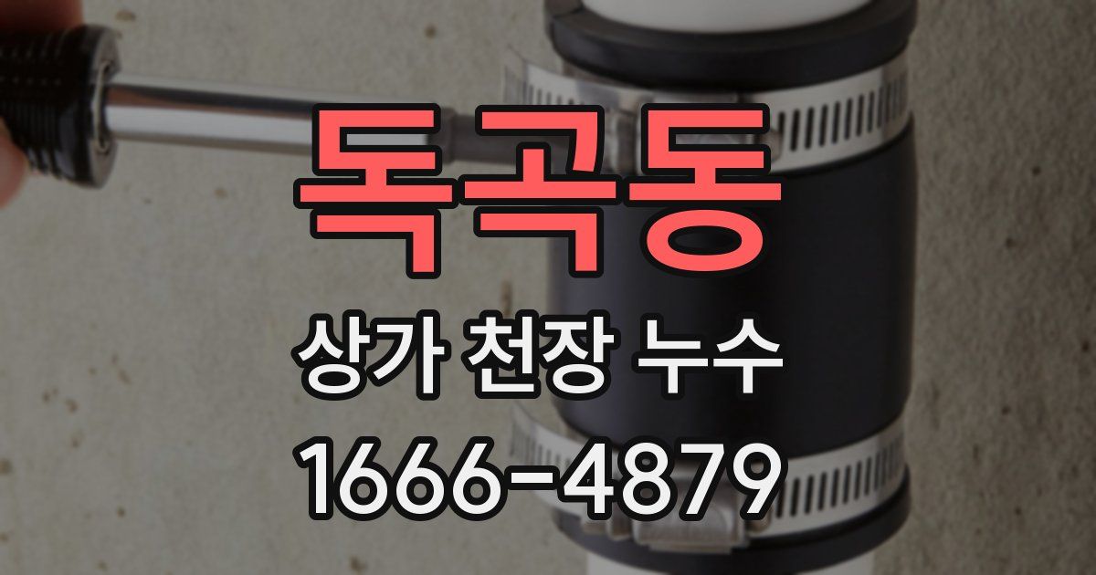 독곡동 상가 천장 누수