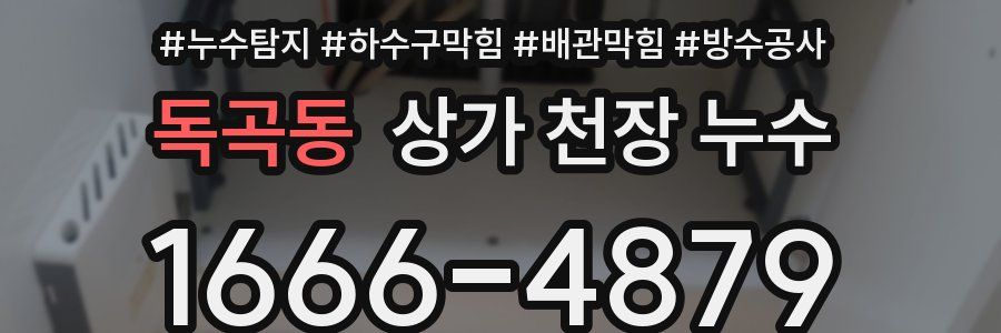 독곡동 상가 천장 누수