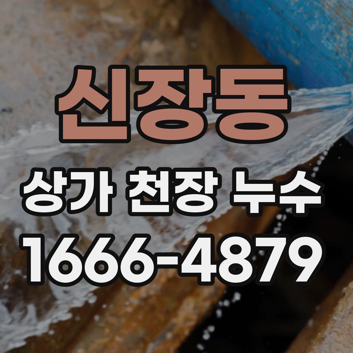 신장동 상가 천장 누수