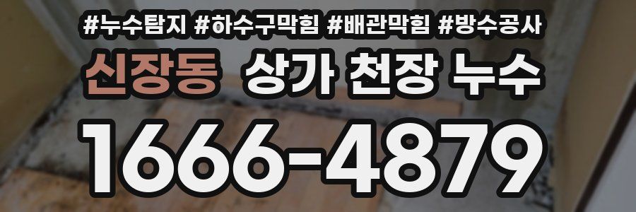 신장동 상가 천장 누수