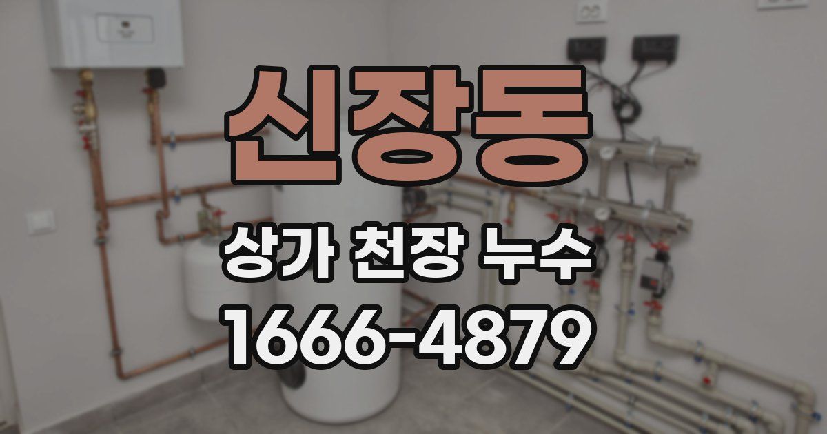 신장동 상가 천장 누수