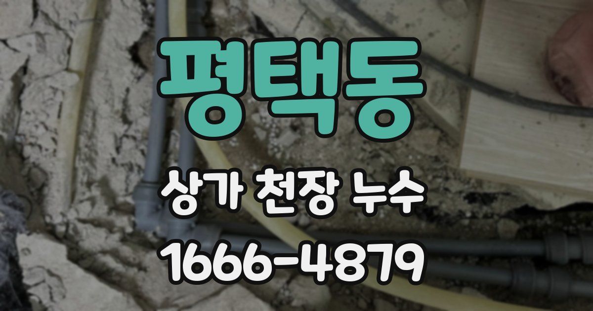 평택동 상가 천장 누수