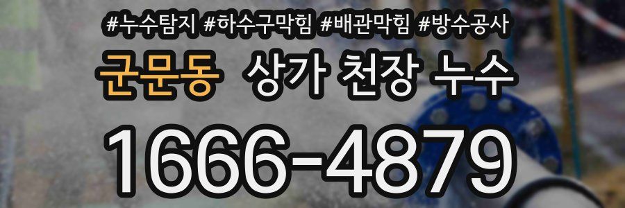 군문동 상가 천장 누수