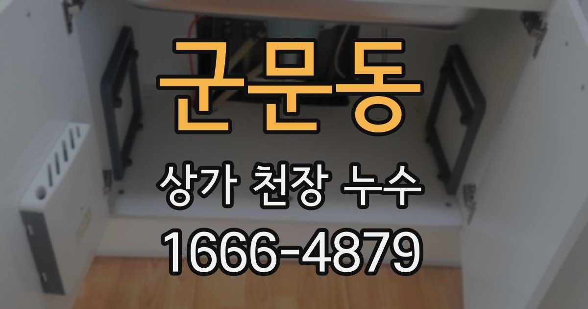군문동 상가 천장 누수