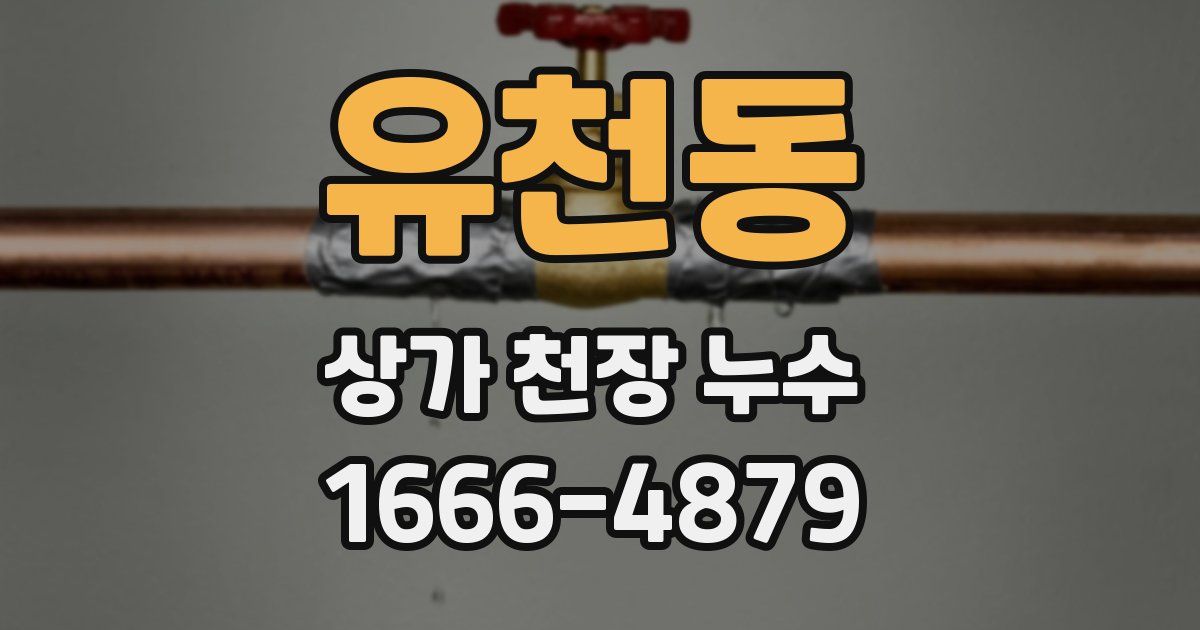 유천동 상가 천장 누수