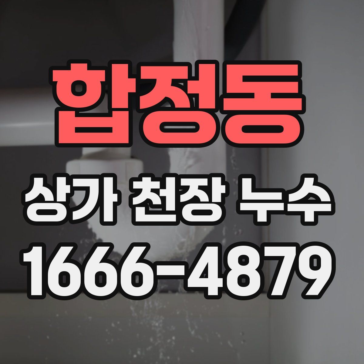 합정동 상가 천장 누수