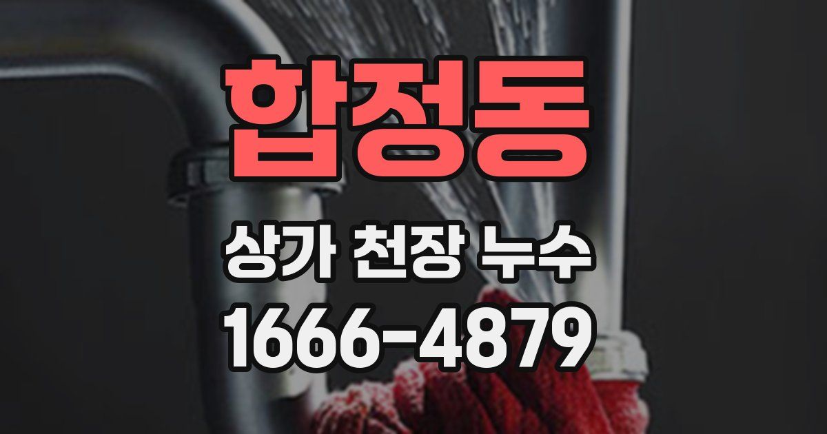 합정동 상가 천장 누수