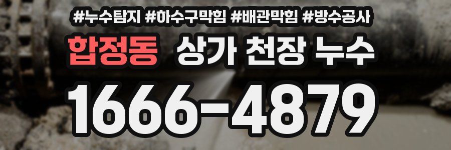 합정동 상가 천장 누수