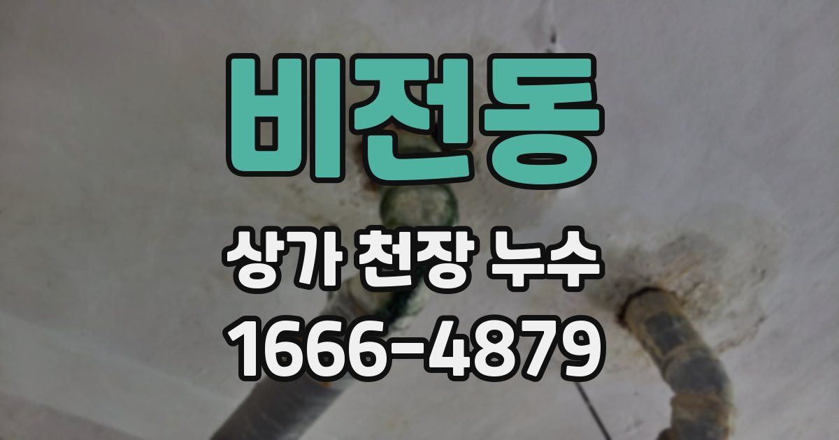 비전동 상가 천장 누수