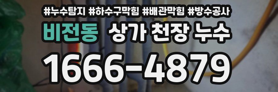 비전동 상가 천장 누수