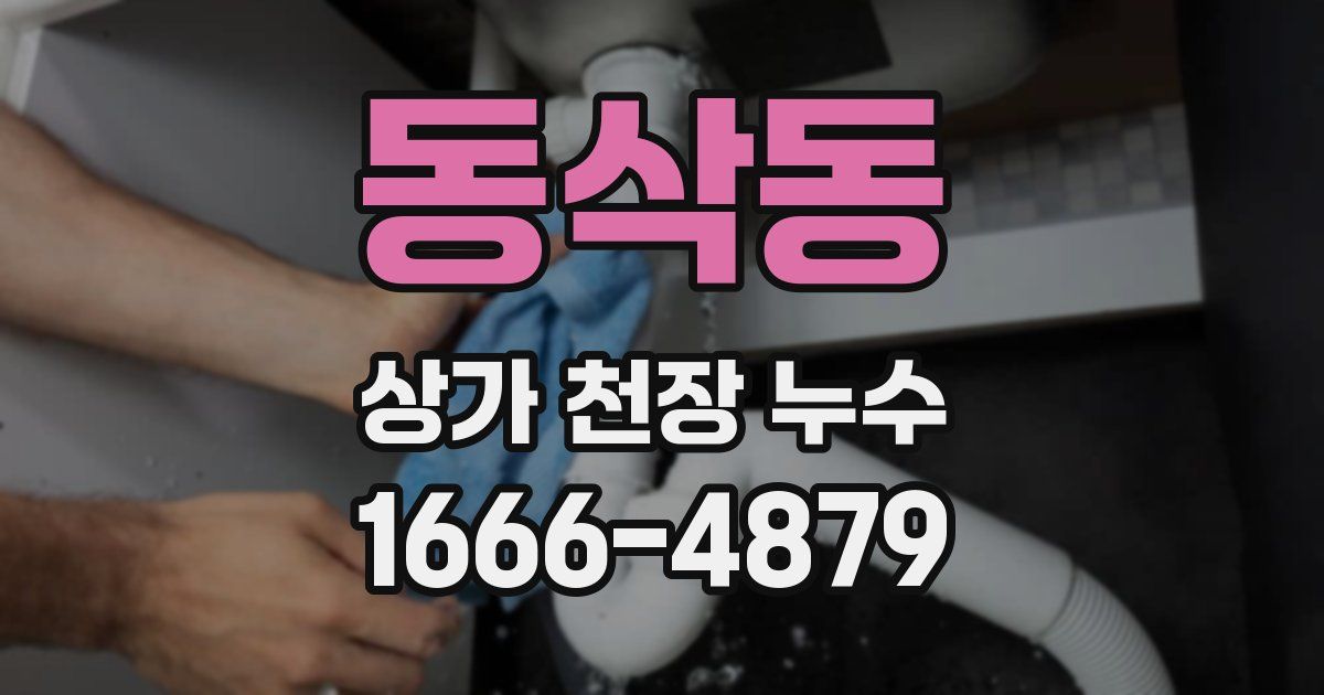 동삭동 상가 천장 누수