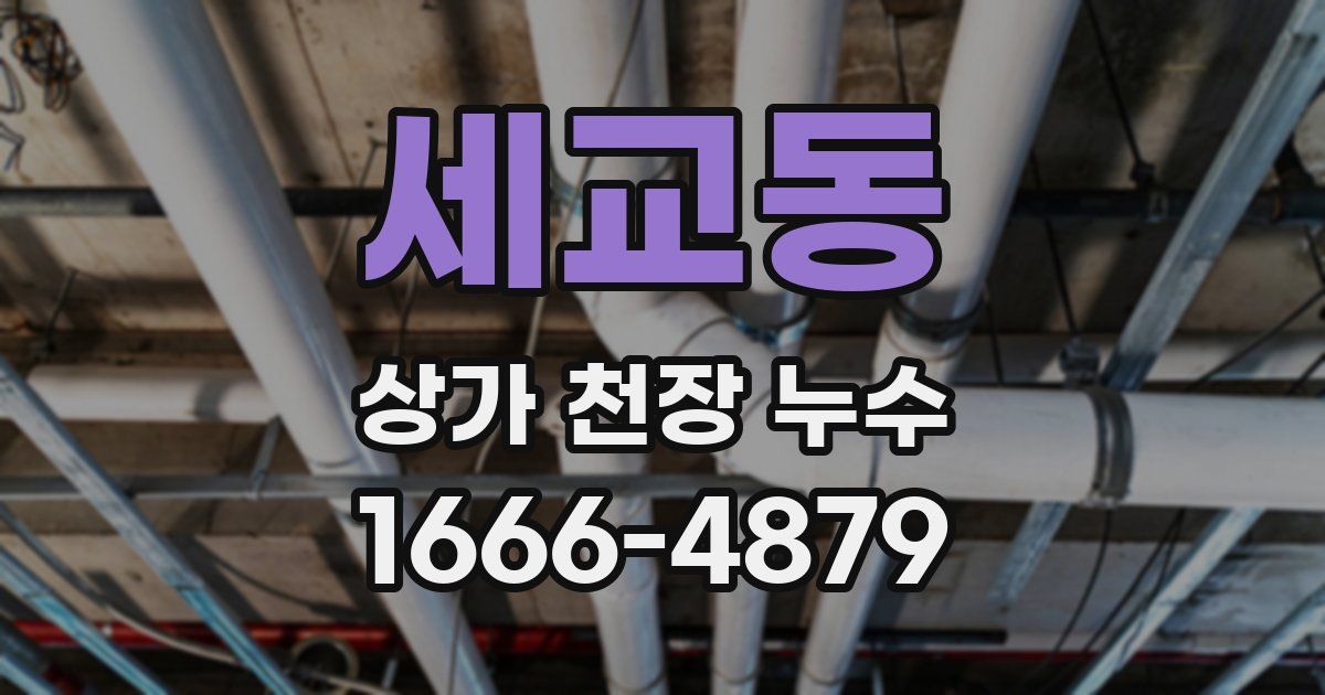 세교동 상가 천장 누수