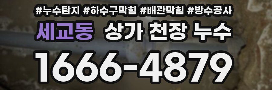세교동 상가 천장 누수