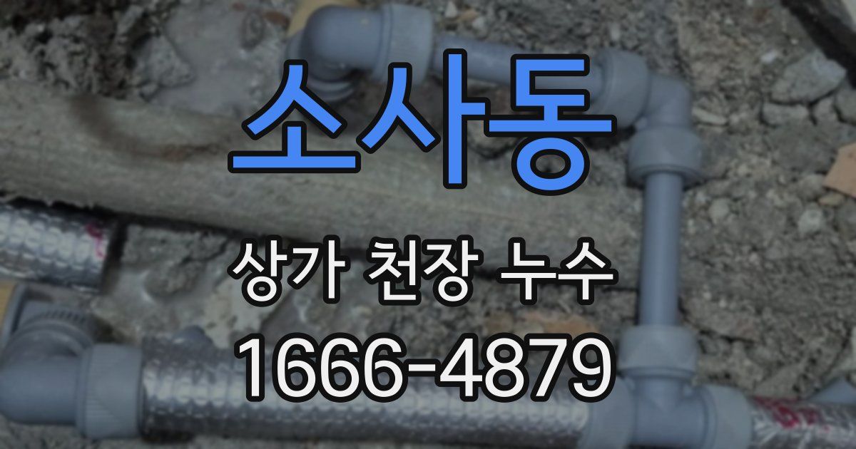 소사동 상가 천장 누수