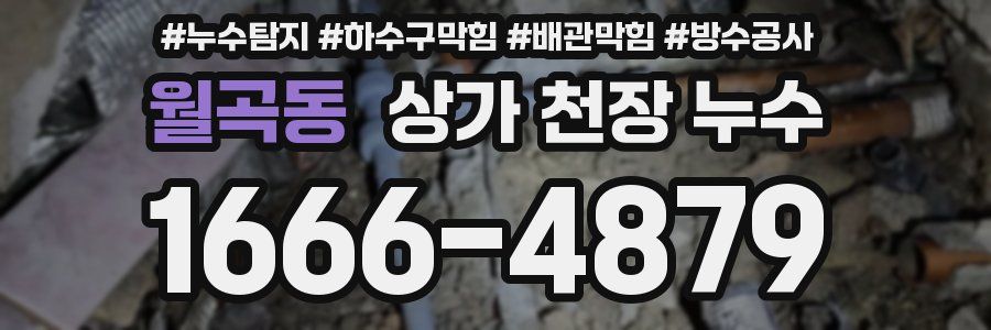 월곡동 상가 천장 누수