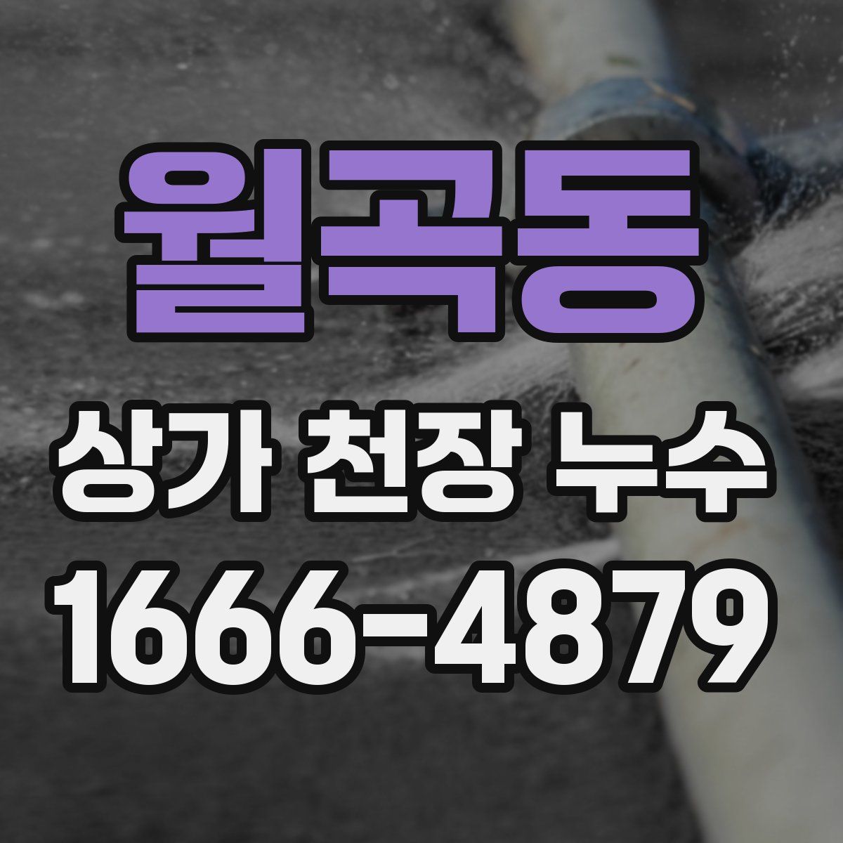 월곡동 상가 천장 누수