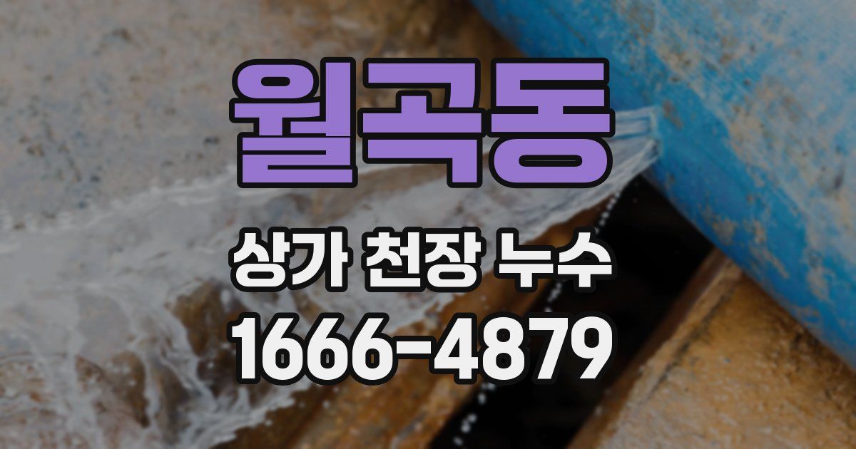 월곡동 상가 천장 누수