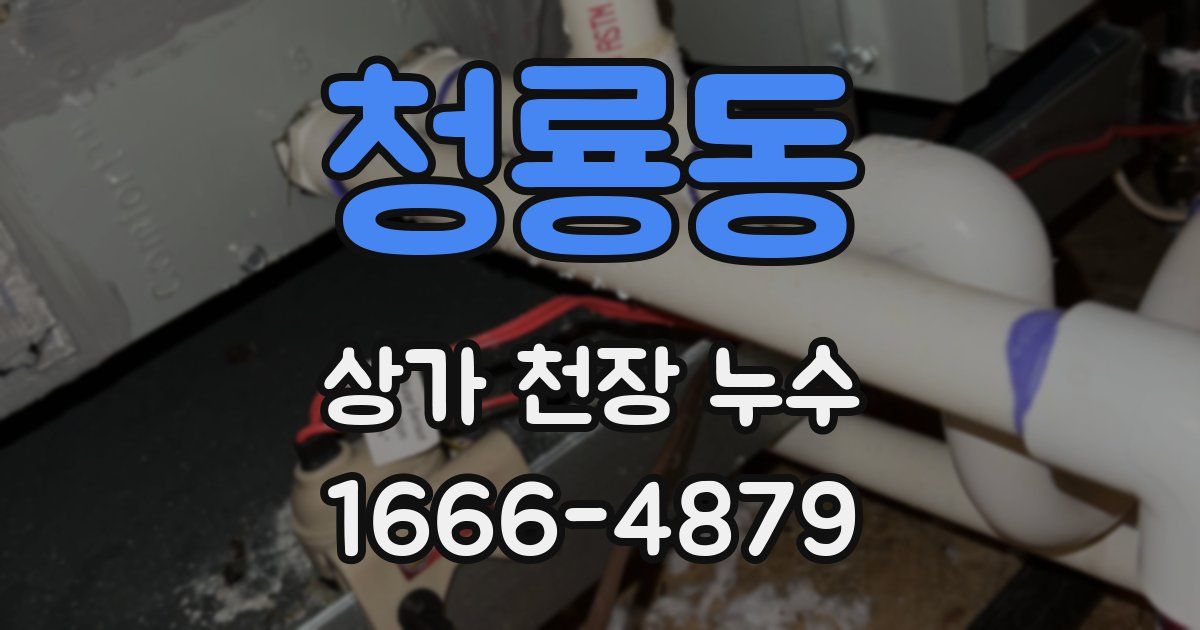 청룡동 상가 천장 누수