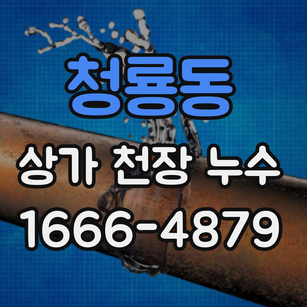 청룡동 상가 천장 누수