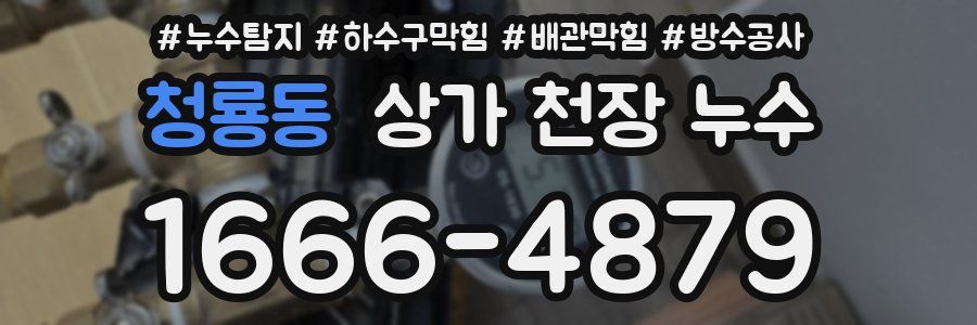 청룡동 상가 천장 누수
