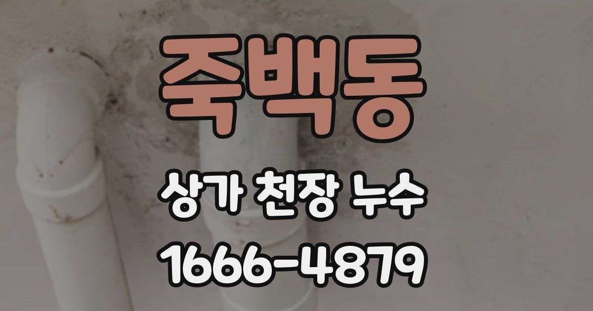 죽백동 상가 천장 누수