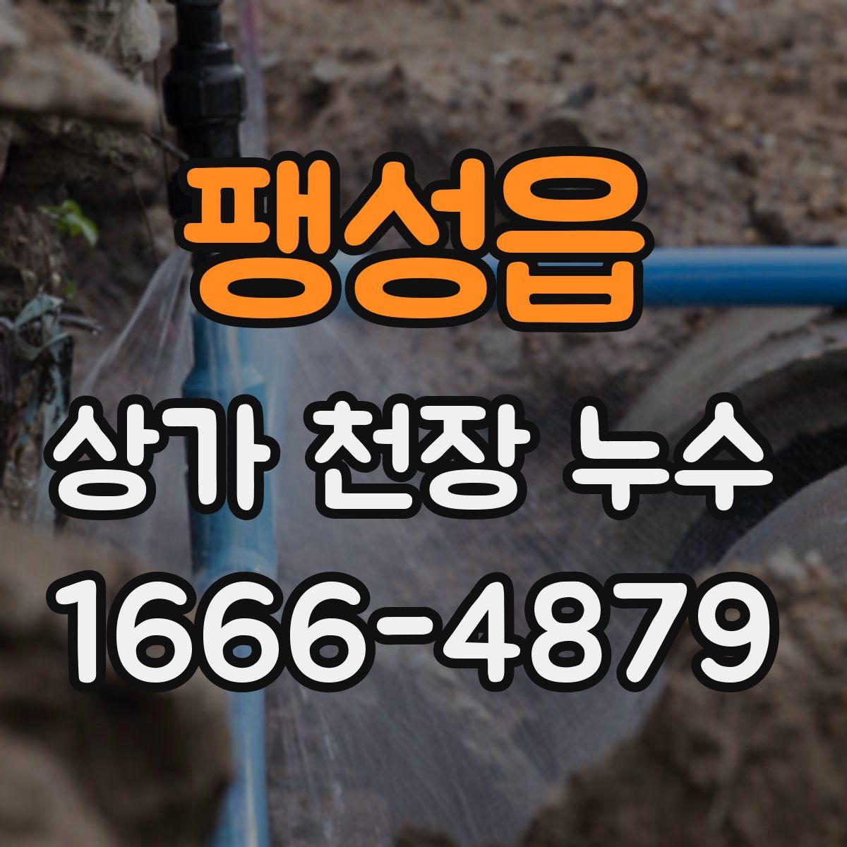 팽성읍 상가 천장 누수