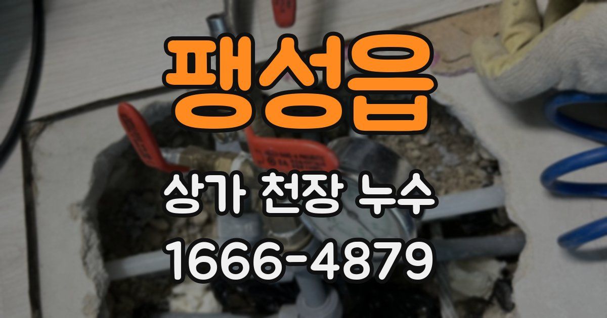 팽성읍 상가 천장 누수