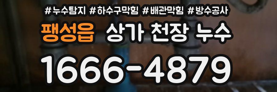 팽성읍 상가 천장 누수