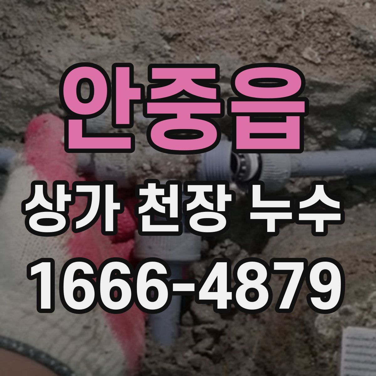 안중읍 상가 천장 누수