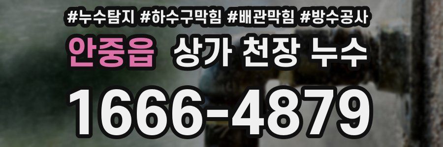 안중읍 상가 천장 누수