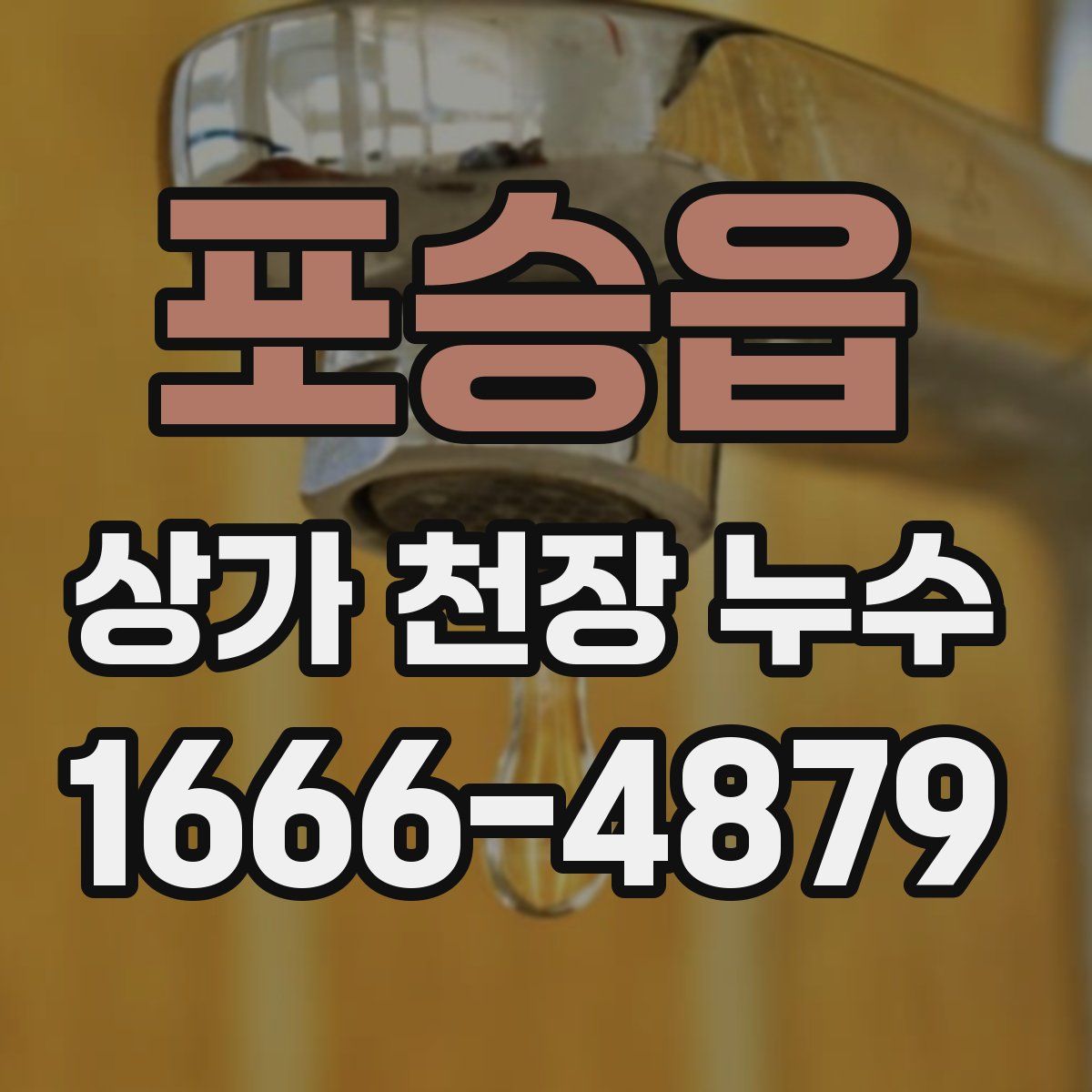 포승읍 상가 천장 누수