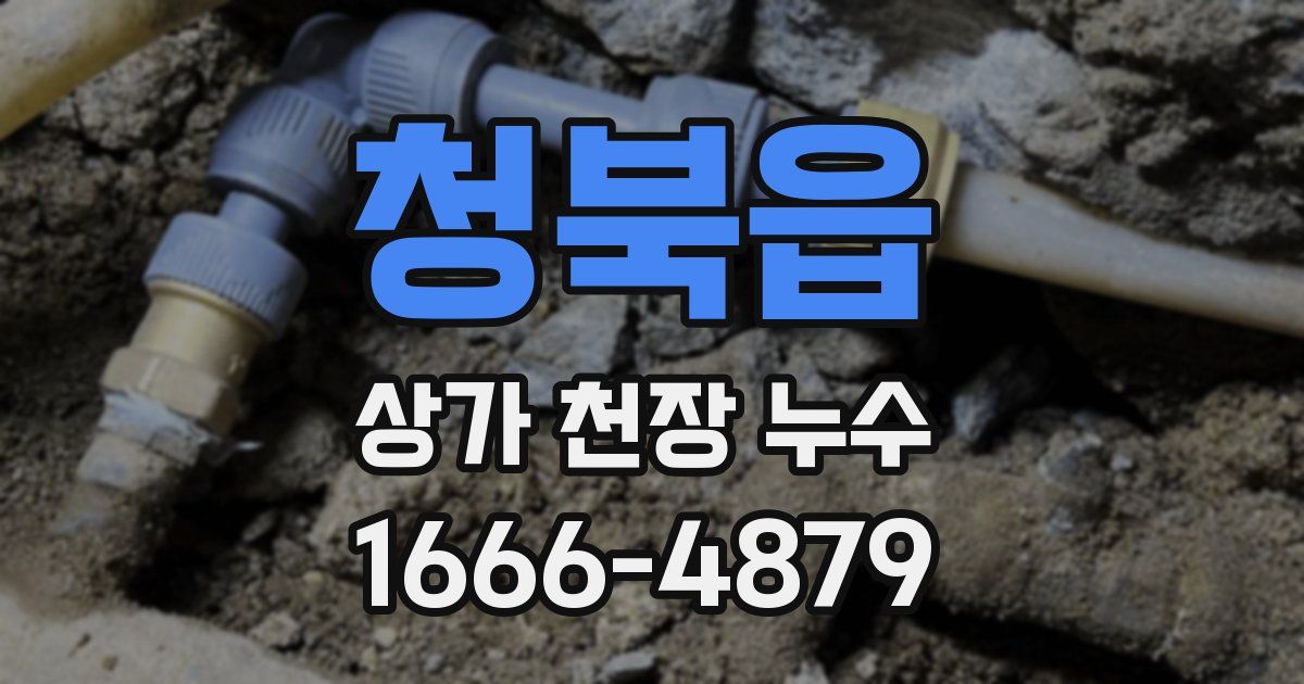 청북읍 상가 천장 누수