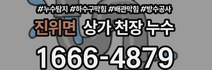진위면 상가 천장 누수