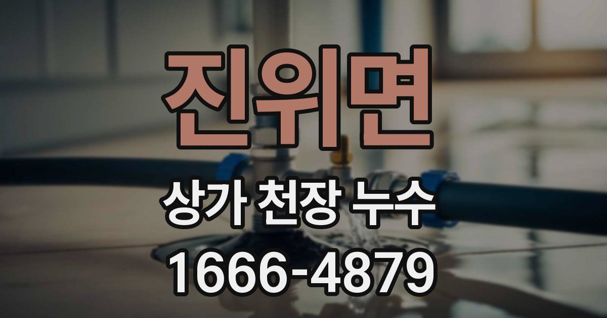 진위면 상가 천장 누수