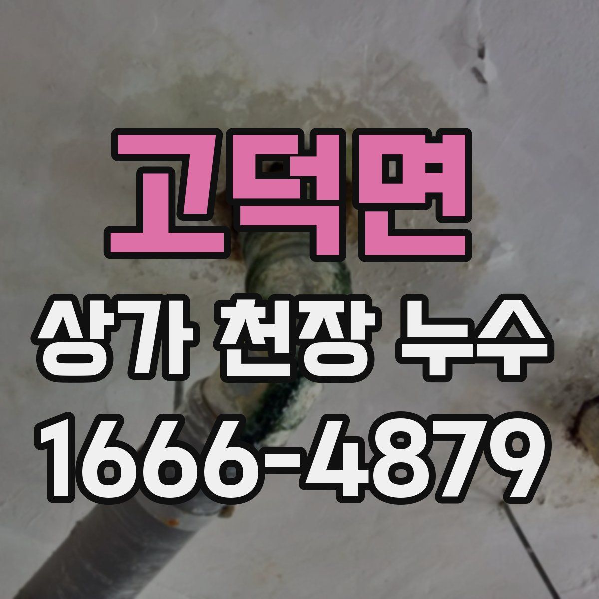 고덕면 상가 천장 누수