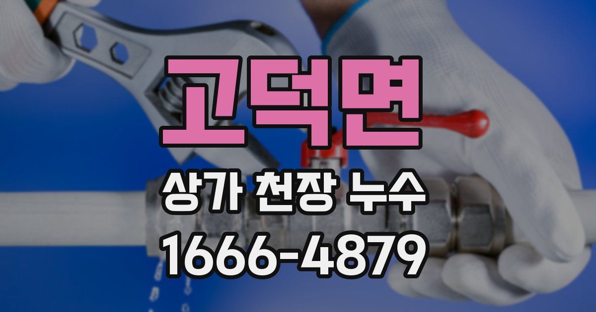 고덕면 상가 천장 누수