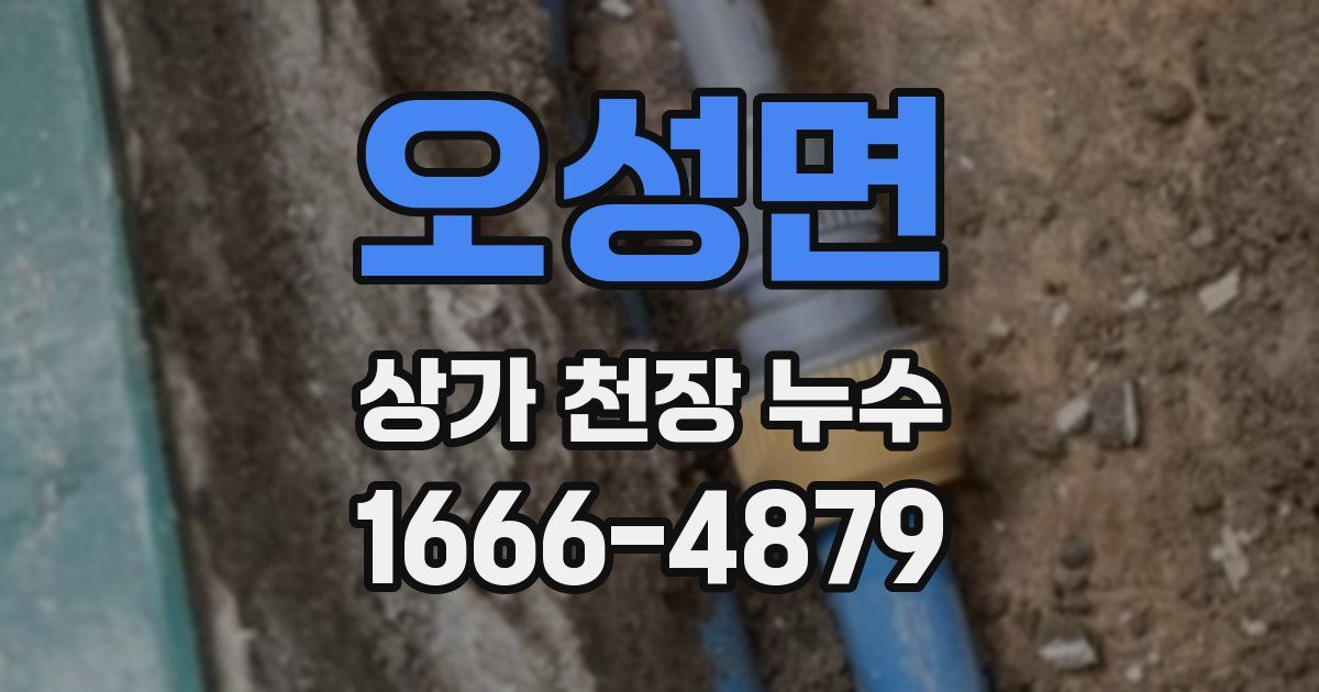 오성면 상가 천장 누수