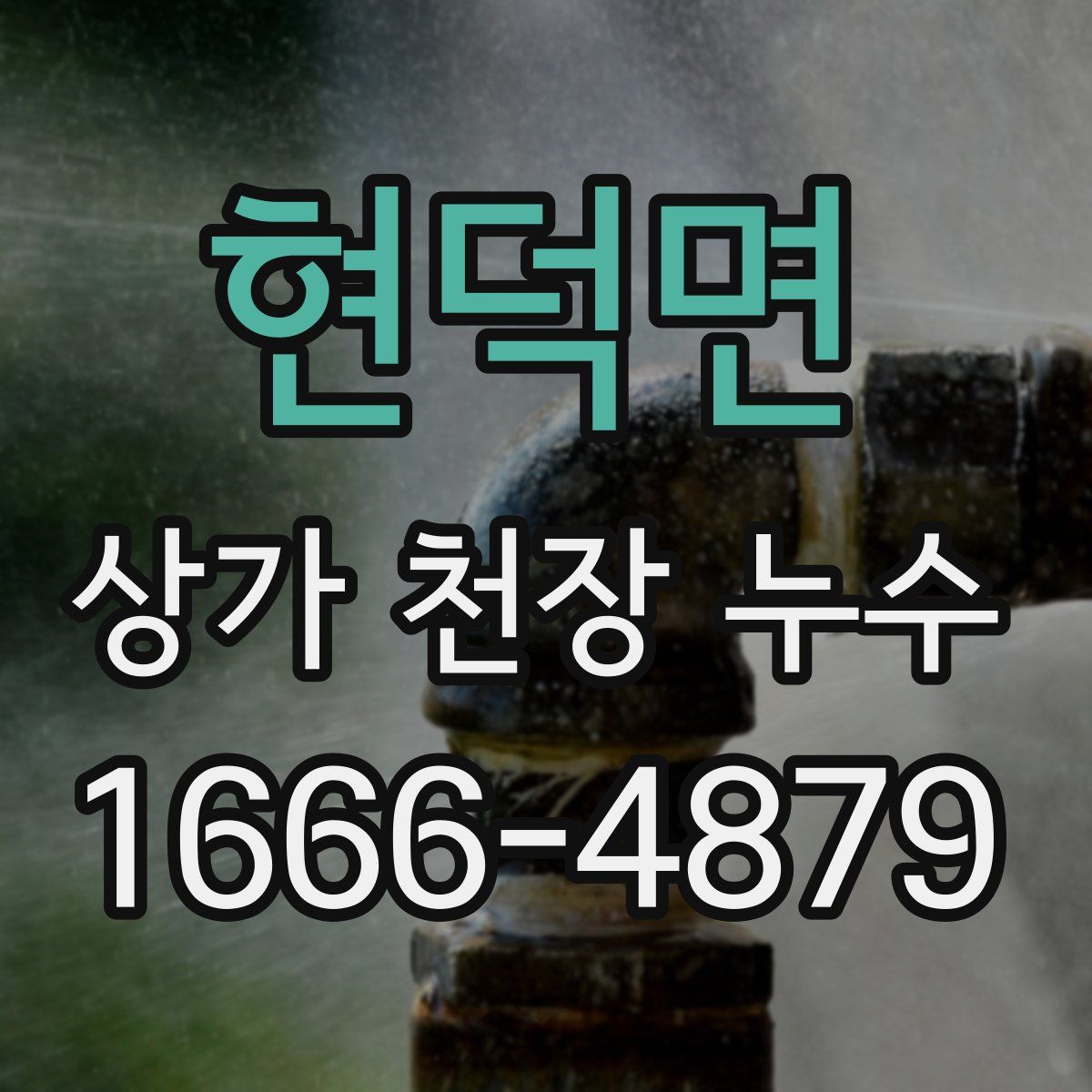 현덕면 상가 천장 누수