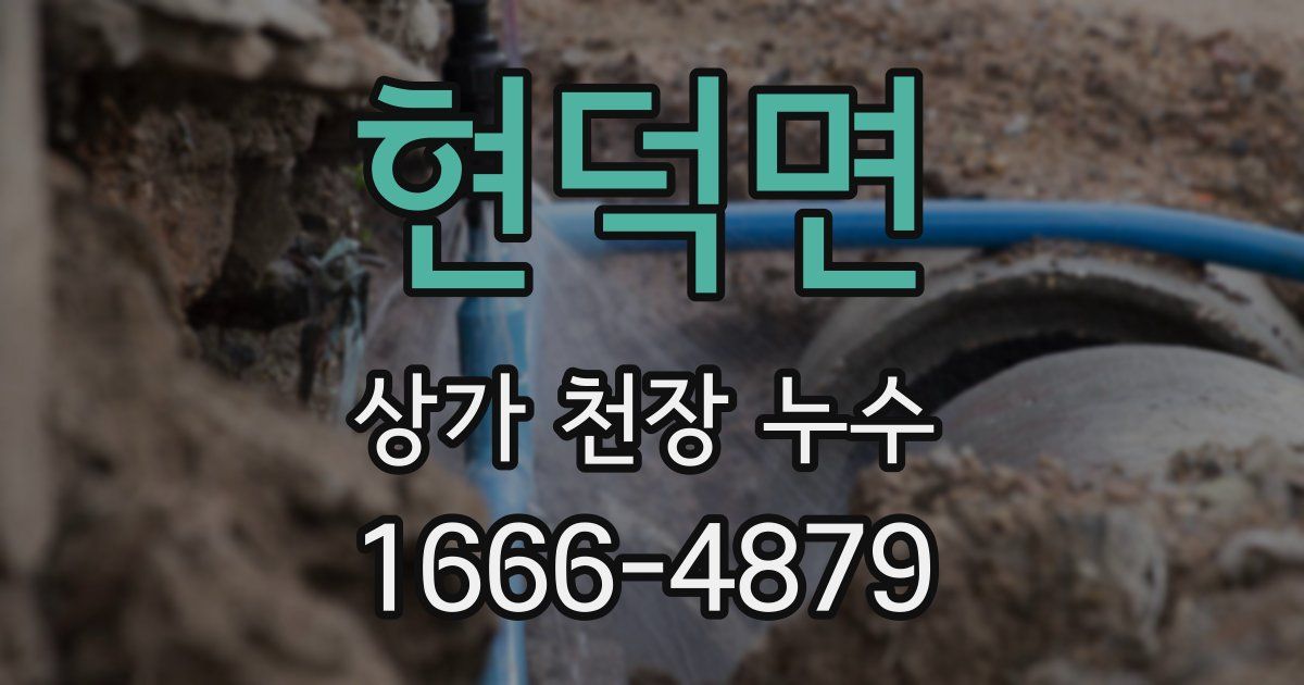 현덕면 상가 천장 누수