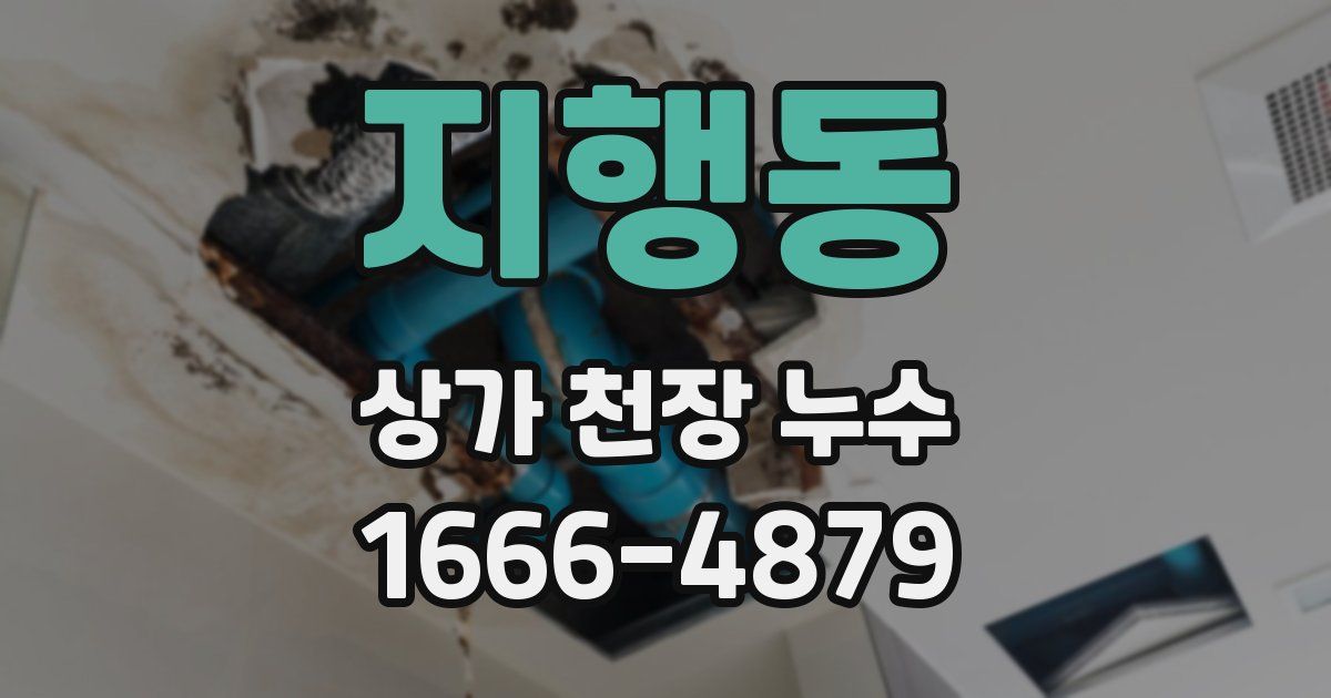 지행동 상가 천장 누수