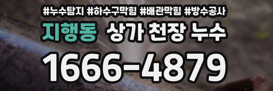 지행동 상가 천장 누수