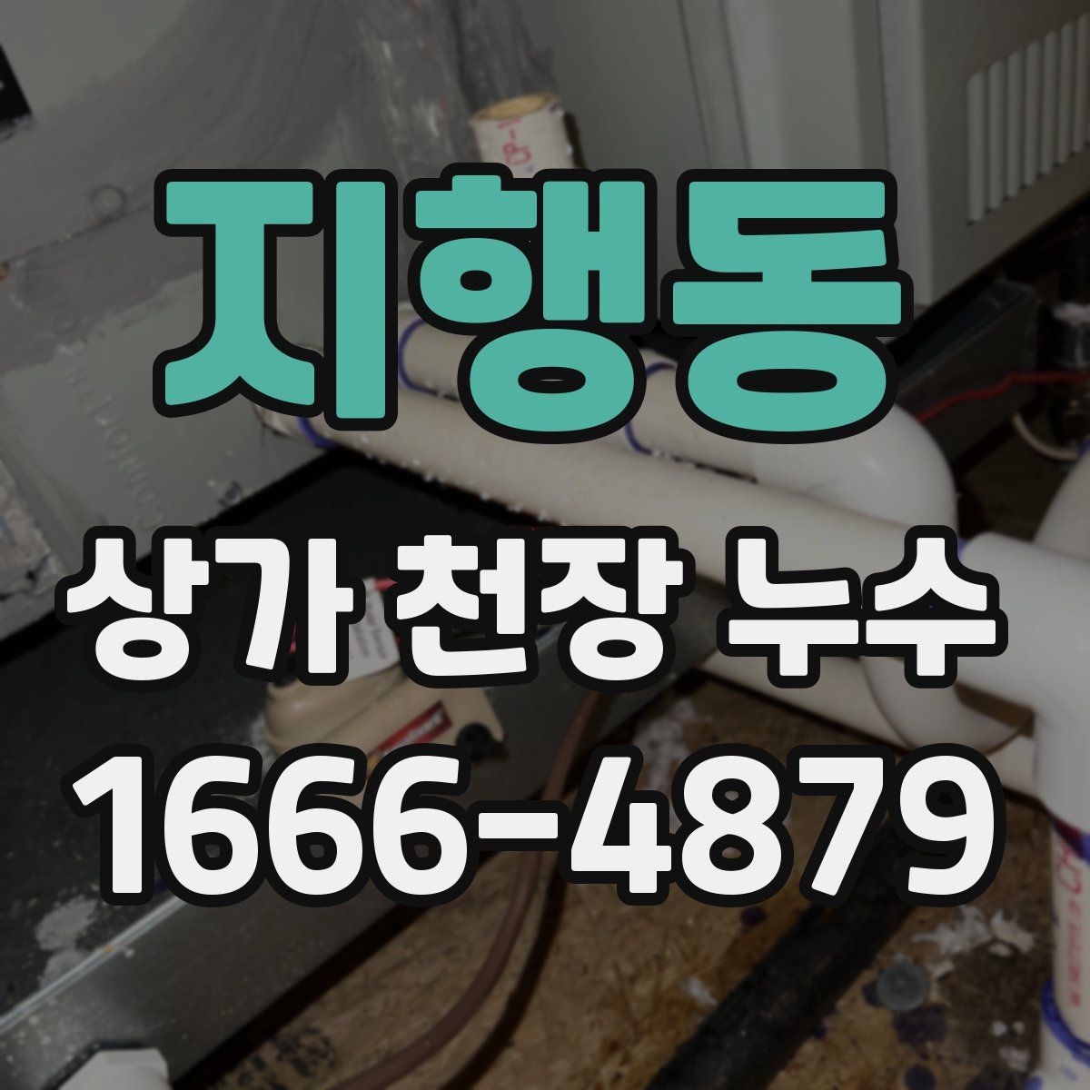 지행동 상가 천장 누수