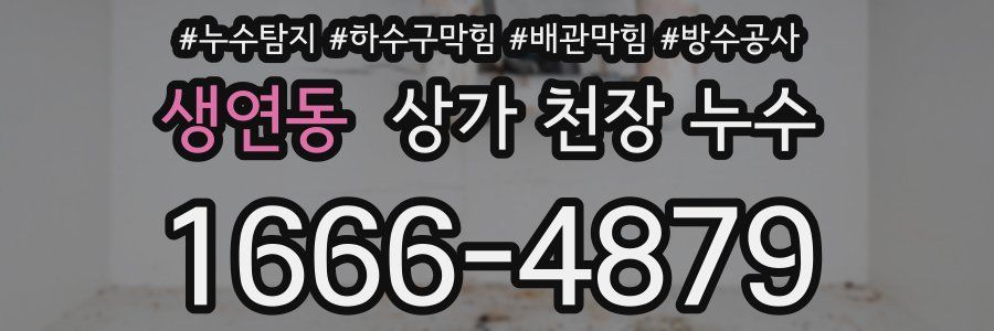 생연동 상가 천장 누수
