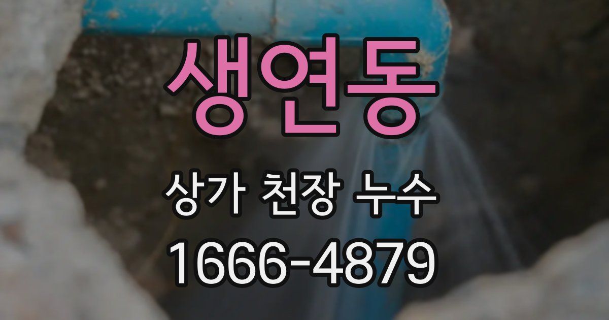 생연동 상가 천장 누수