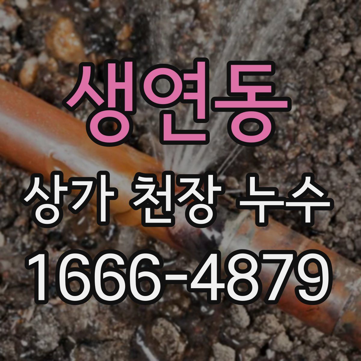생연동 상가 천장 누수