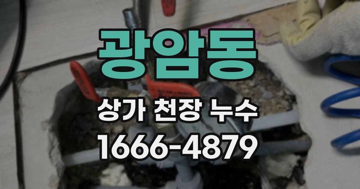 광암동 상가 천장 누수