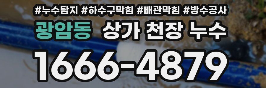 광암동 상가 천장 누수